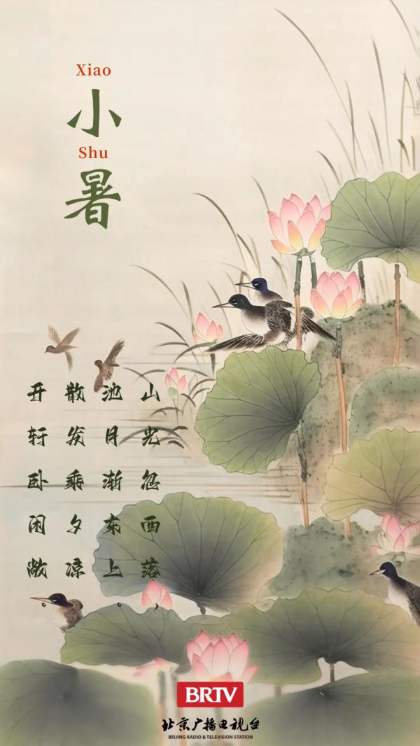 小暑丨夏渐浓,花愈艳 小暑丨夏渐浓,花愈艳