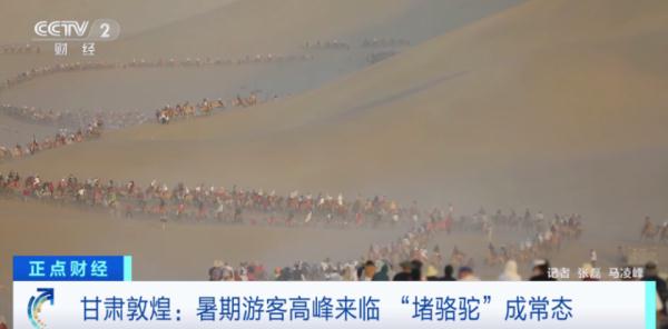 暑期来临，敦煌又双叒叕“堵骆驼”了