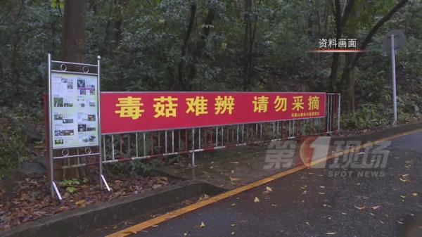 跟脸盆一样大!深圳一小区长满“灵芝”?有人立马摘回家... 跟脸盆一样大!深圳一小区长满“灵芝”?有人立马摘回家...