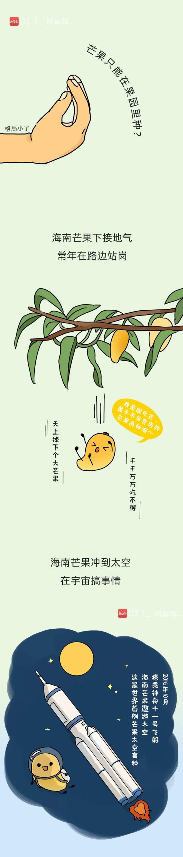 为什么吃芒果要蘸盐？海南人的回答“无法反驳”！