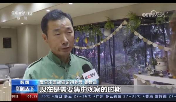 旅韩大熊猫爱宝有新宝宝啦