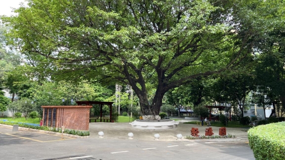 住建部：城市更新以保留利用提升为主，防止大拆大建
