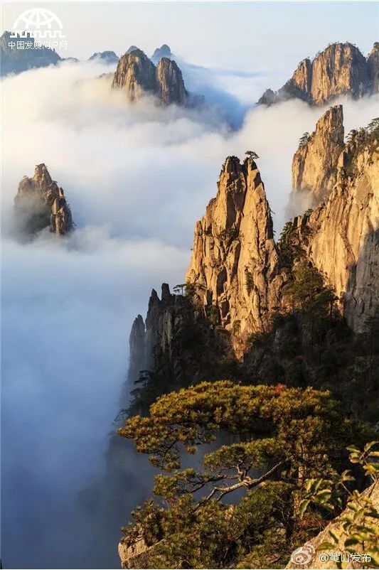 高铁调图后，上海到长三角其他主要城市最短时间有哪些变化？