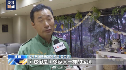 旅韩大熊猫爱宝乐宝夫妇即将迎来二胎宝宝 旅韩大熊猫爱宝乐宝夫妇即将迎来二胎宝宝