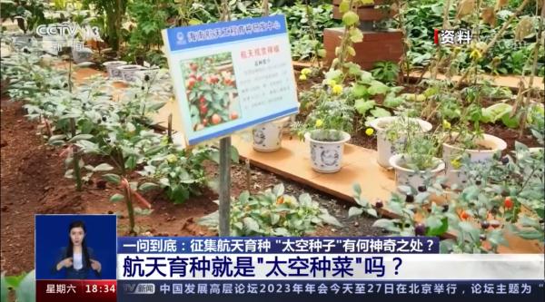 坐神舟飞船上过太空的食物啥味啊？真香！！！