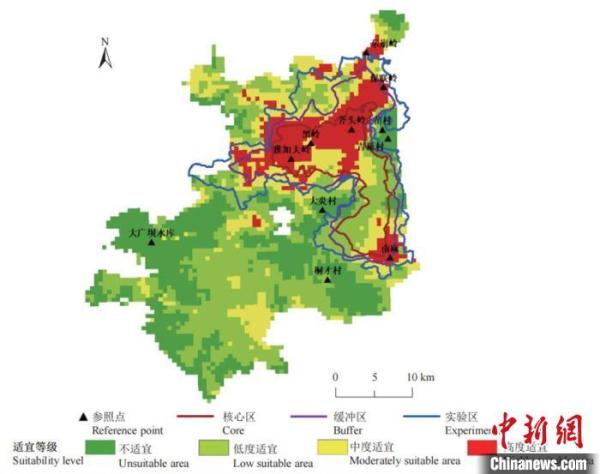 “极危”“濒危”标签难脱 专家介绍中国长臂猿保护进展 “极危”“濒危”标签难脱 专家介绍中国长臂猿保护进展