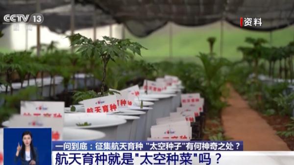 坐神舟飞船上过太空的食物啥味啊？真香！！！