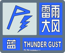 沈阳市发布雷雨大风蓝色预警