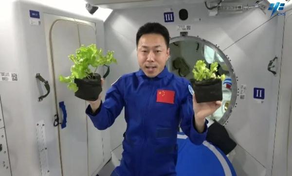 坐神舟飞船上过太空的食物啥味啊？真香！！！