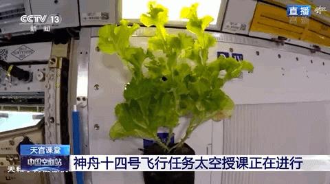 坐神舟飞船上过太空的食物啥味啊？真香！！！