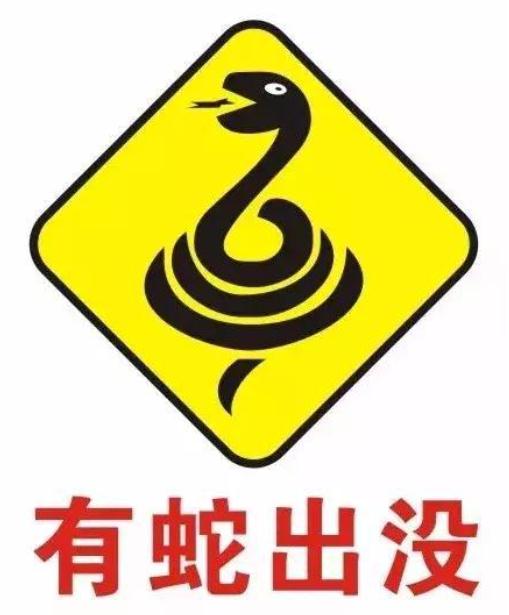 有条蛇藏在洗衣机，有条蟒偷吃鸡……