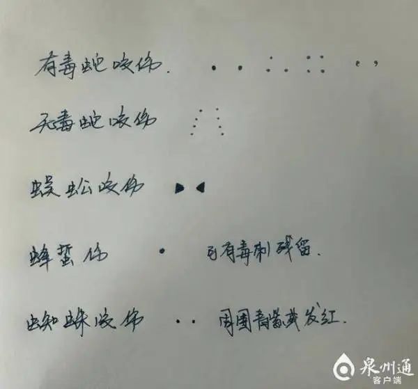 女孩被毒蛇咬伤，家人在伤口上放蜘蛛?