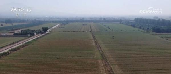 充分利用黄河水资源 保障夏浇夏管工作有序开展 充分利用黄河水资源 保障夏浇夏管工作有序开展