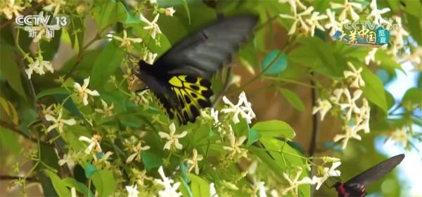 快看!这扇“世界生物之窗”跳动着勃勃生机 快看!这扇“世界生物之窗”跳动着勃勃生机