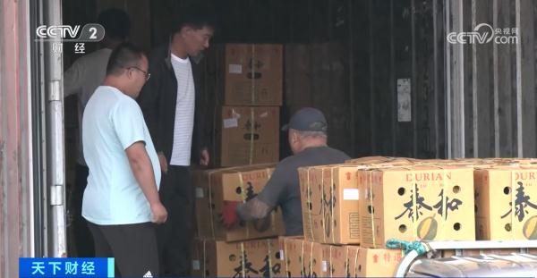 运输渠道拓宽 这个夏天的进口水果可以不做选择 全都要