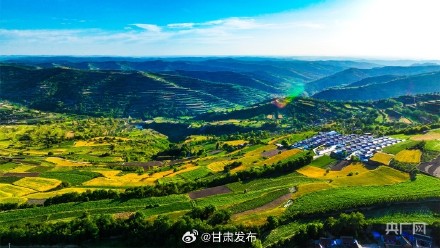 庄浪:麦黄时节 梯田美如画 庄浪:麦黄时节 梯田美如画