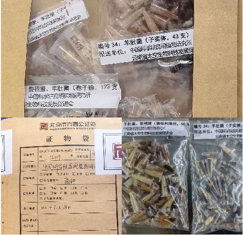 坐神舟飞船上过太空的食物啥味啊？真香！！！