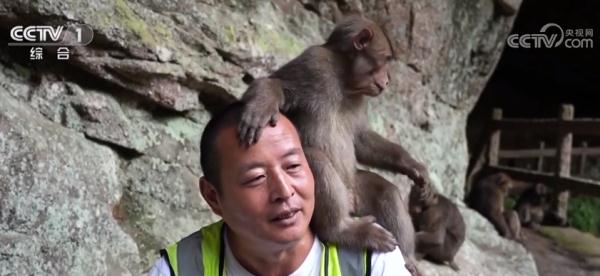 人与自然和谐共生 国家公园成果丰硕