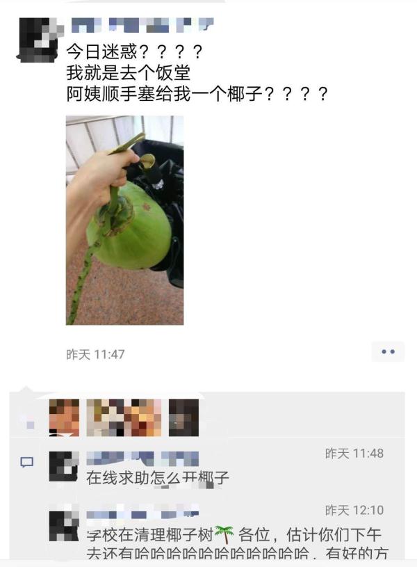 “根本吃不完！” 广东这些“水果大学”甜上热搜！