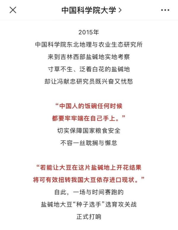 “想要得到它!”高校录取通知书有大豆7颗,连成7星,用时7年…… “想要得到它!”高校录取通知书有大豆7颗,连成7星,用时7年……