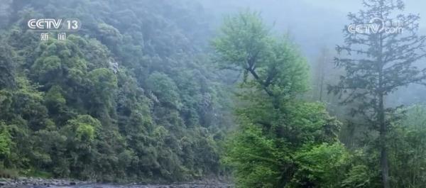 梵净山生态日益向好 形成山、水、动植物相互交融多样化生态环境