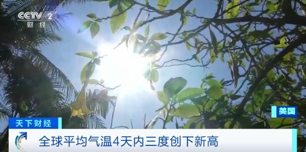 全球平均气温，又双叒破纪录！这里最高温接近50℃！至于广州……