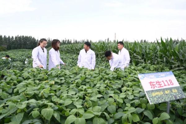 “想要得到它!”高校录取通知书有大豆7颗,连成7星,用时7年…… “想要得到它!”高校录取通知书有大豆7颗,连成7星,用时7年……