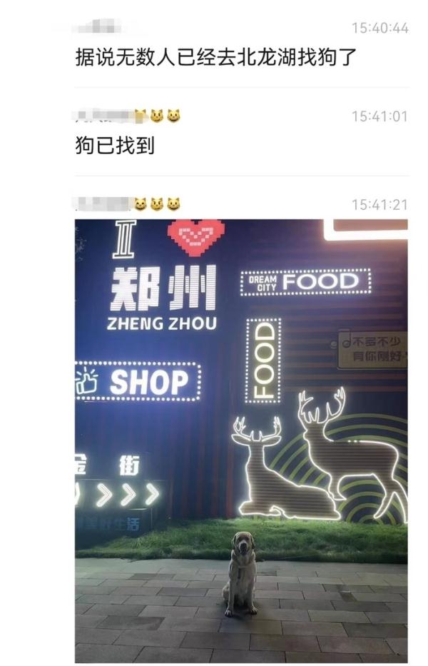 悬赏千万寻狗结果只给5000元？律师：应遵承诺，如系制造噱头或负法律责任