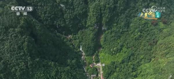 守护绿水青山生态安全 大熊猫野外栖息地更“宜居”