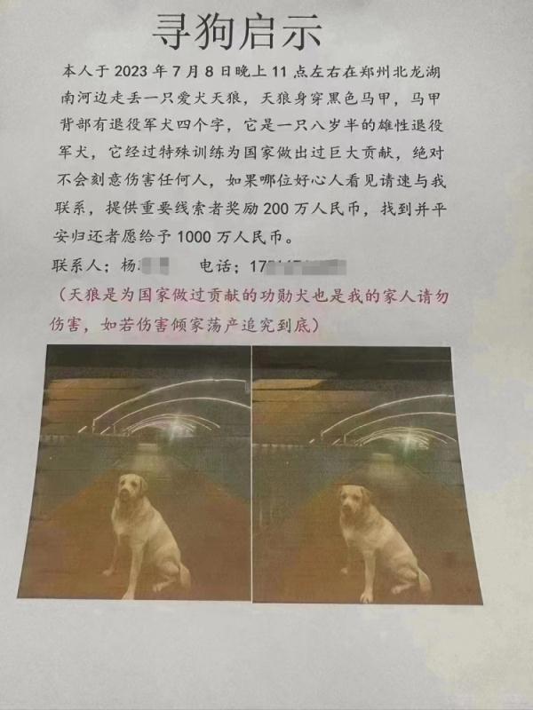 有人悬赏1000万找狗?郑州流浪动物领养中心:已找到 有人悬赏1000万找狗?郑州流浪动物领养中心:已找到