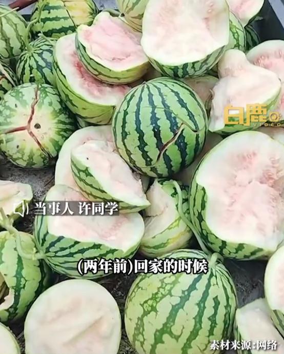 一男生买生瓜留言，2年后老板回复“重拿一个”