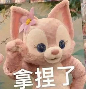 花费千元购买迪士尼“烟花位”，到场后傻了！工作人员：这里是公共区域！