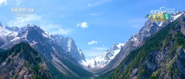 守护绿水青山生态安全 大熊猫野外栖息地更“宜居”