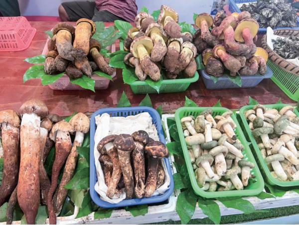 1500元→500元，价格大降，快冲！！