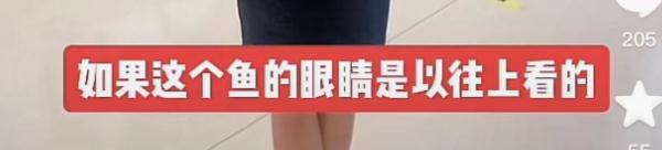 美又飒！女船长任大学副教授，一不小心成“招生简章”