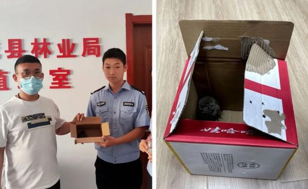 “有危难找警察！”已经传到动物界了……
