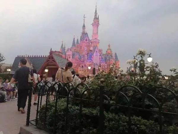 花费千元购买迪士尼“烟花位”，到场后傻了！工作人员：这里是公共区域！
