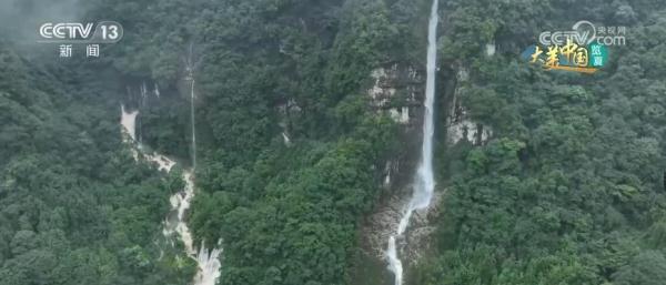 守护绿水青山生态安全 大熊猫野外栖息地更“宜居”