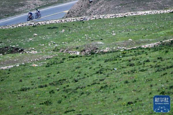 自行车 | 环青海湖国际公路赛第二赛段赛况