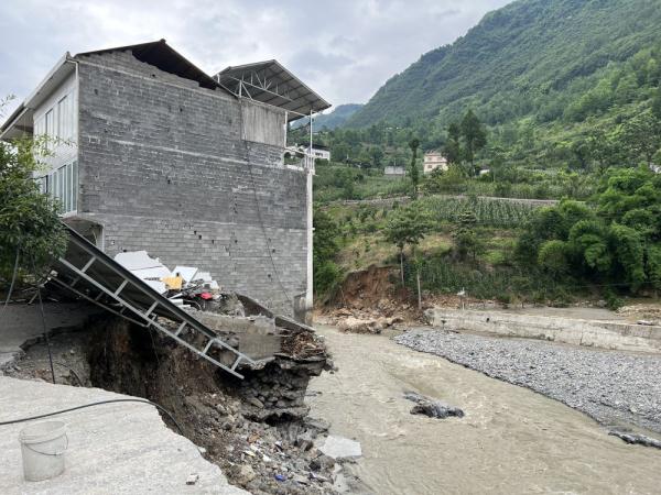 放心不下的老向