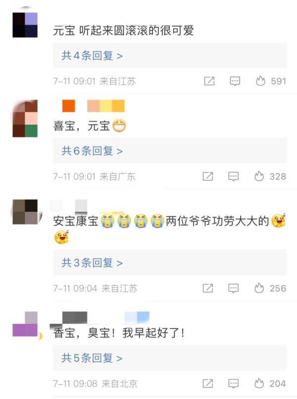 “华妮”，生了一对双胞胎！