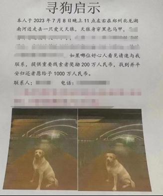 悬赏千万寻狗找到后只付5000，网友们坐不住了…