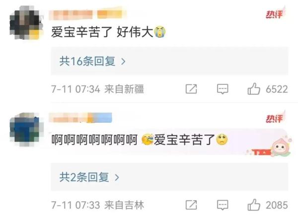 冲上热搜!旅韩大熊猫“爱宝”诞下双胞胎 冲上热搜!旅韩大熊猫“爱宝”诞下双胞胎