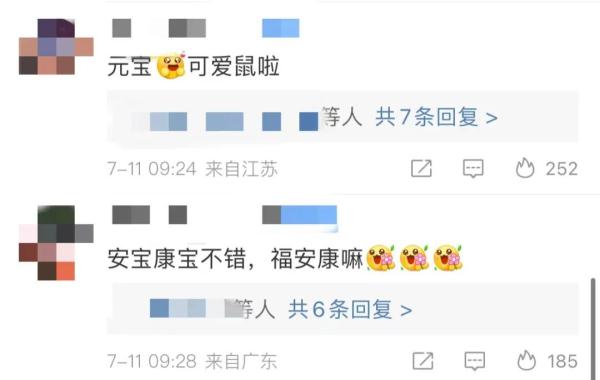 “华妮”，生了一对双胞胎！