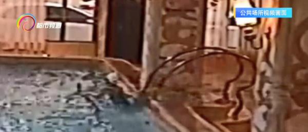 女孩游泳馆试课意外溺亡！法院判决……