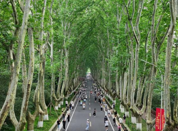 今日入伏!记得做这三件事 今日入伏!记得做这三件事