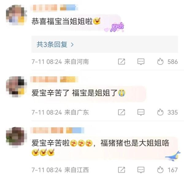 冲上热搜!旅韩大熊猫“爱宝”诞下双胞胎 冲上热搜!旅韩大熊猫“爱宝”诞下双胞胎