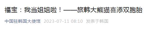 高清大图!“爱宝”喜诞双胞胎! 高清大图!“爱宝”喜诞双胞胎!