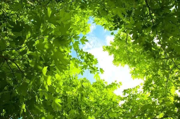 今日入伏!记得做这三件事 今日入伏!记得做这三件事