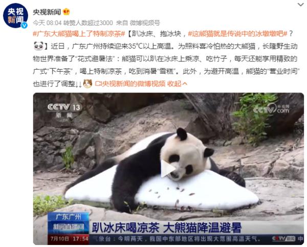 趴冰床、抱冰块，这熊猫就是传说中的冰墩墩吧